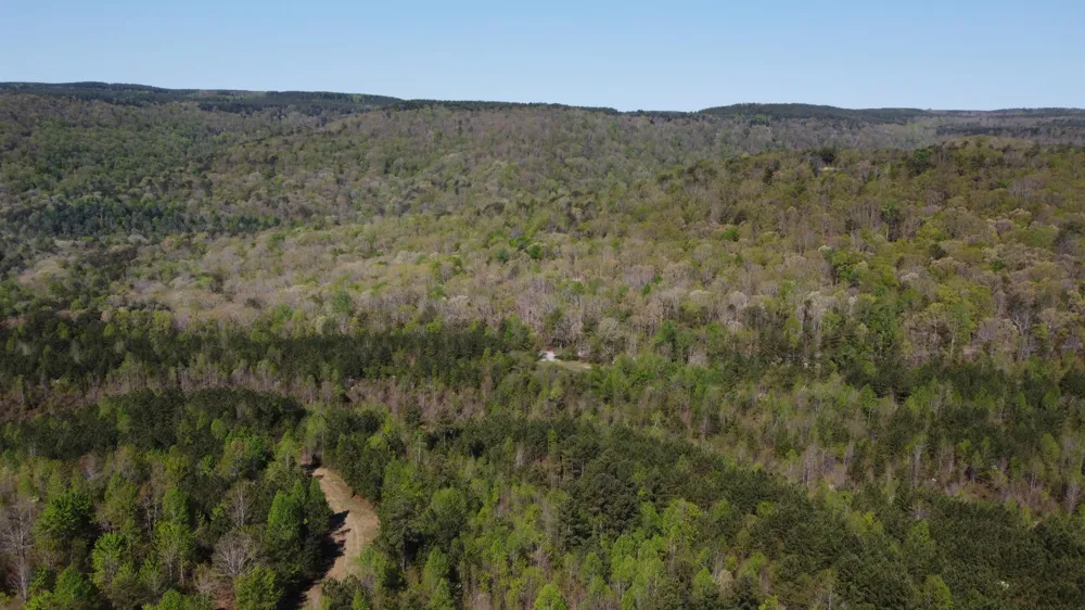 108 Leggett Road Sale Creek, TN 37373