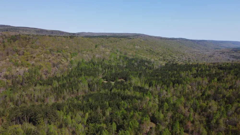 108 Leggett Road Sale Creek, TN 37373