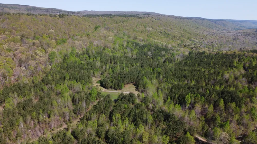 108 Leggett Road Sale Creek, TN 37373