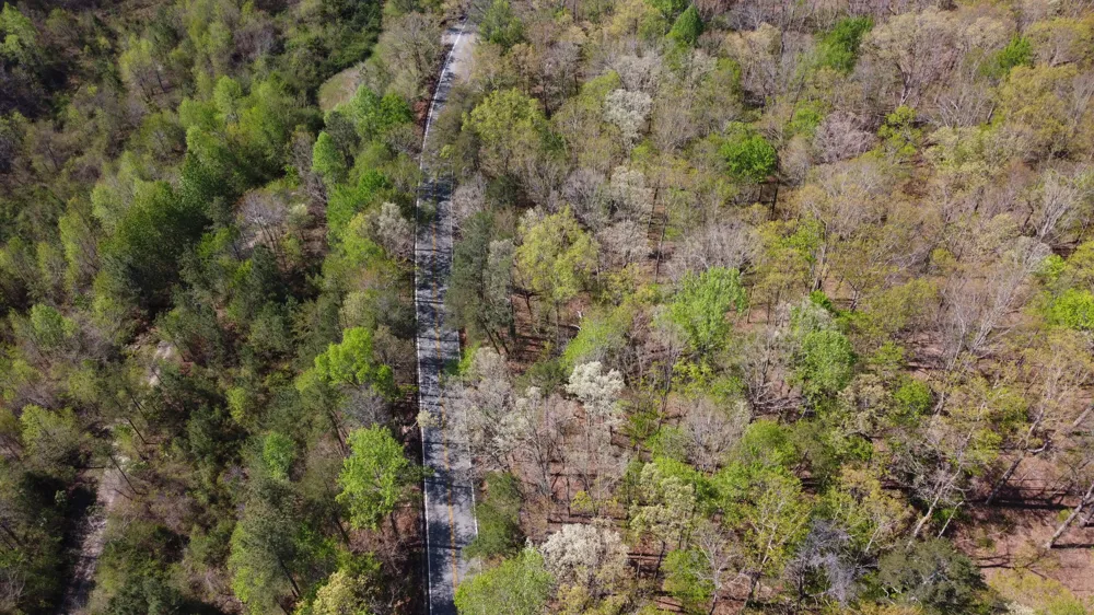 108 Leggett Road Sale Creek, TN 37373