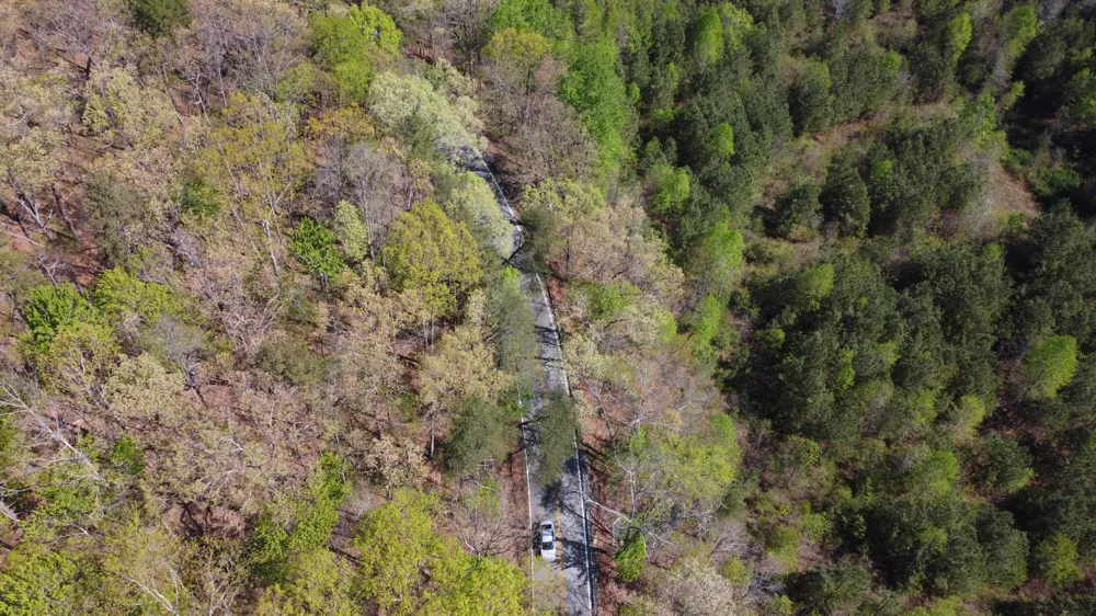 108 Leggett Road Sale Creek, TN 37373