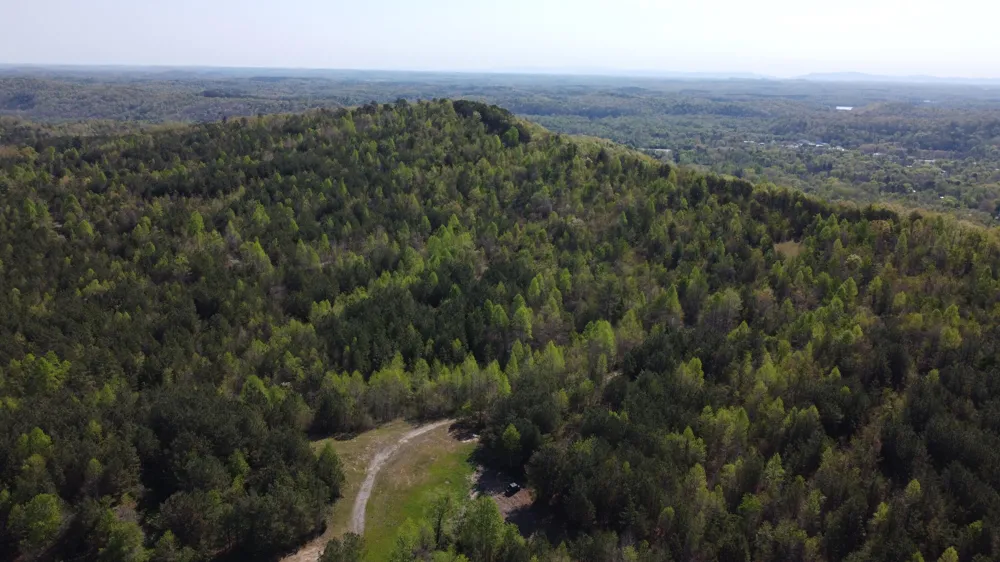 108 Leggett Road Sale Creek, TN 37373
