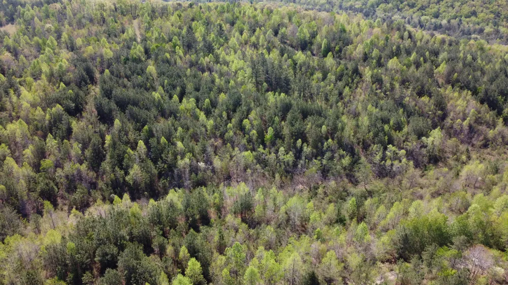 108 Leggett Road Sale Creek, TN 37373