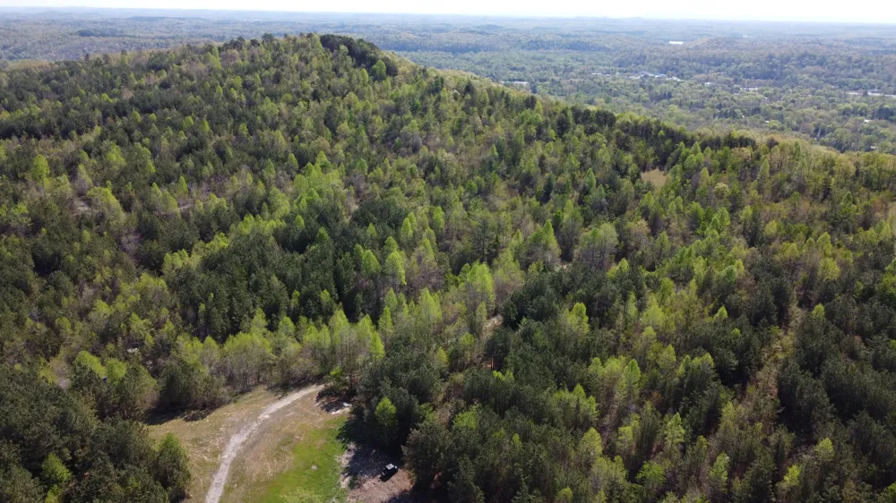 108 Leggett Road Sale Creek, TN 37373