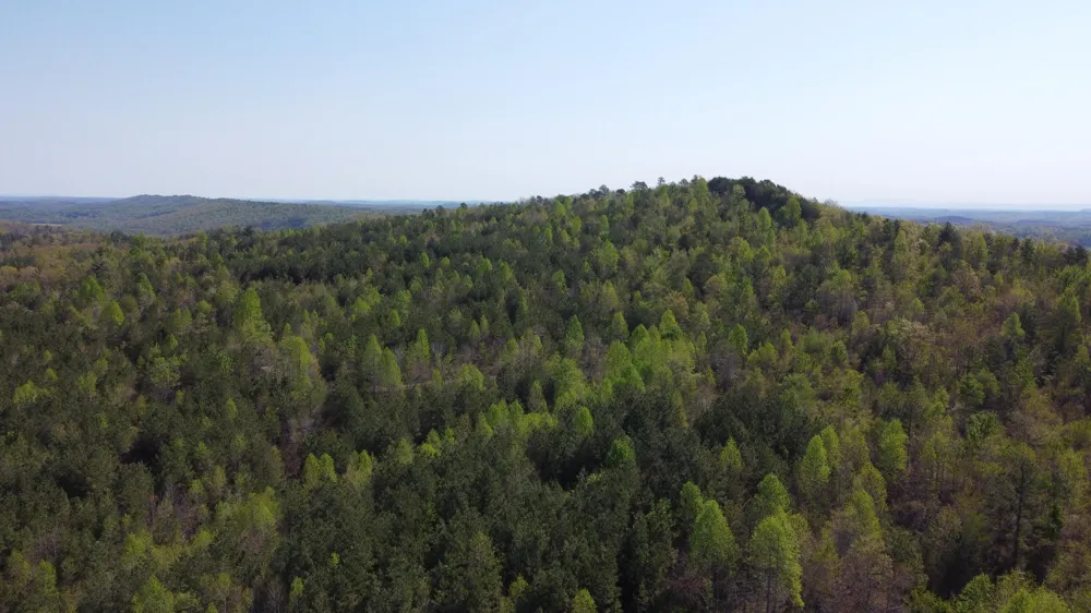 108 Leggett Road Sale Creek, TN 37373