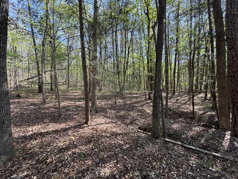 108 Leggett Road Sale Creek, TN 37373