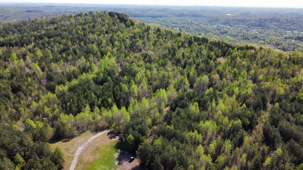 108 Leggett Road Sale Creek, TN 37373