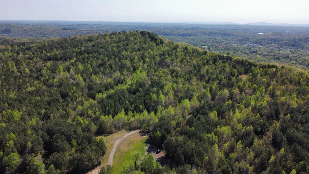 108 Leggett Road Sale Creek, TN 37373