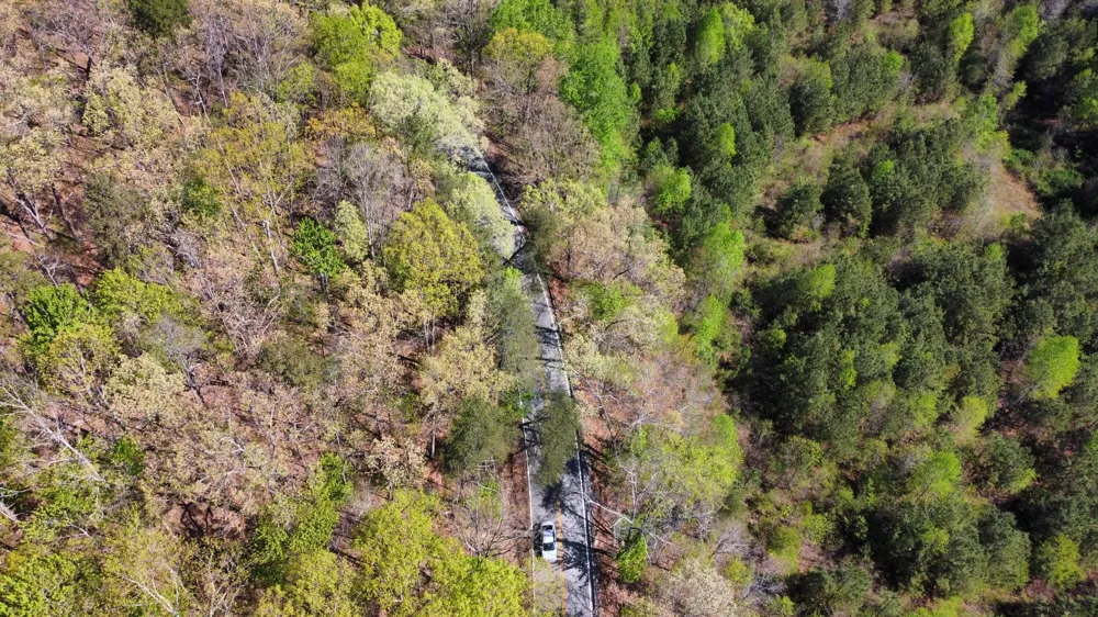 108 Leggett Road Sale Creek, TN 37373