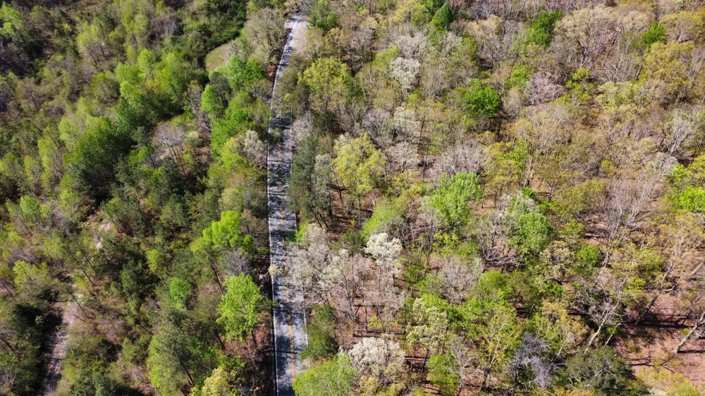 108 Leggett Road Sale Creek, TN 37373