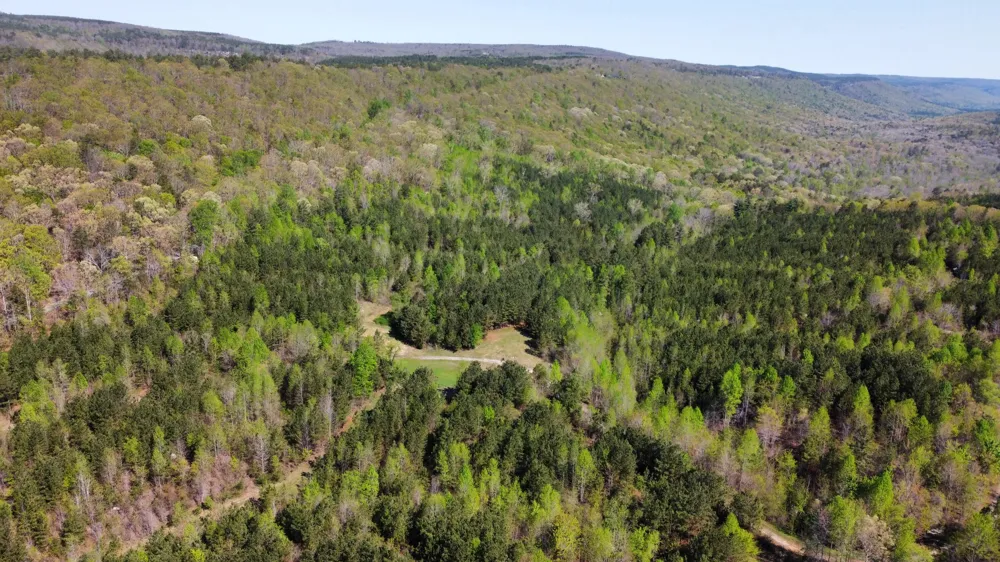 108 Leggett Road Sale Creek, TN 37373