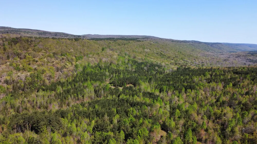 108 Leggett Road Sale Creek, TN 37373