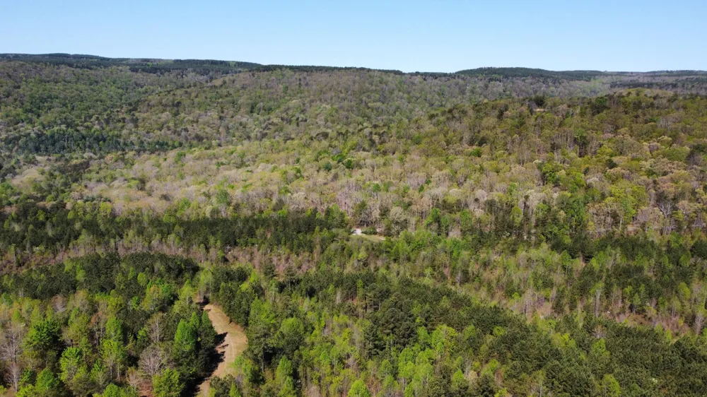 108 Leggett Road Sale Creek, TN 37373