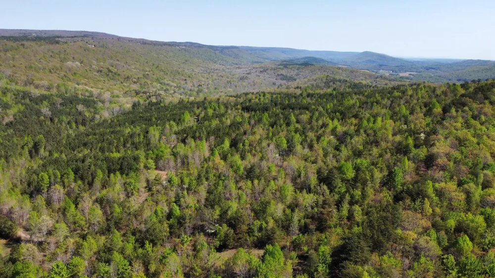 108 Leggett Road Sale Creek, TN 37373