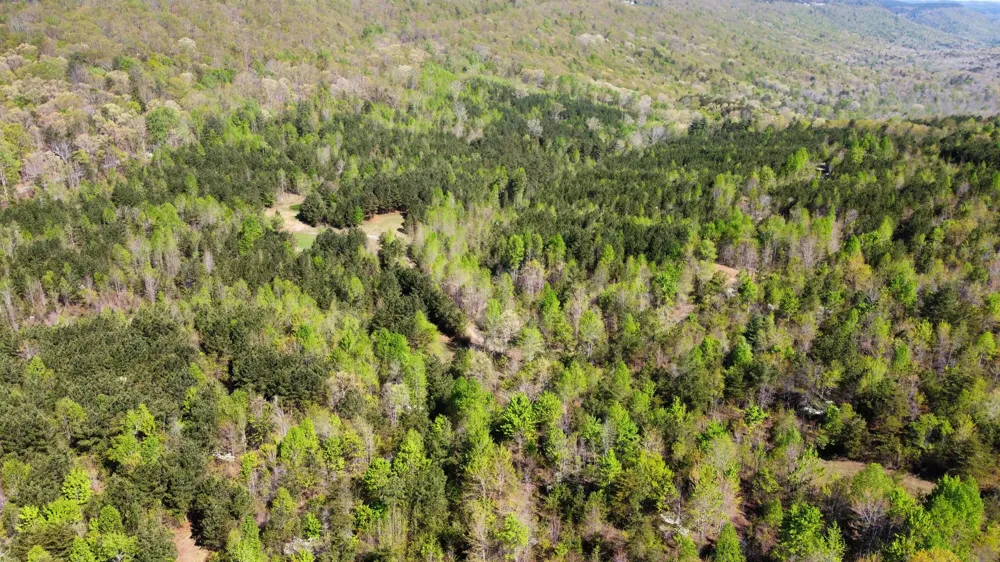 108 Leggett Road Sale Creek, TN 37373