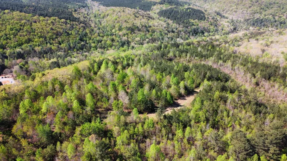 108 Leggett Road Sale Creek, TN 37373