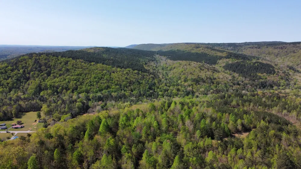 108 Leggett Road Sale Creek, TN 37373