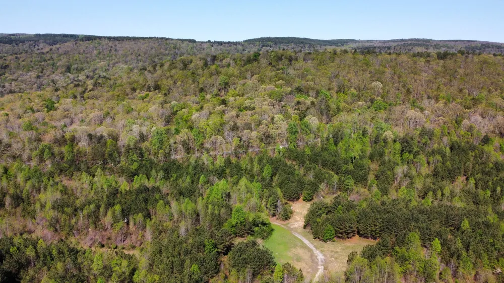 108 Leggett Road Sale Creek, TN 37373