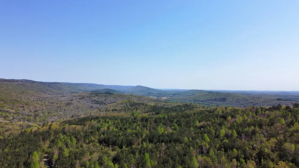 108 Leggett Road Sale Creek, TN 37373