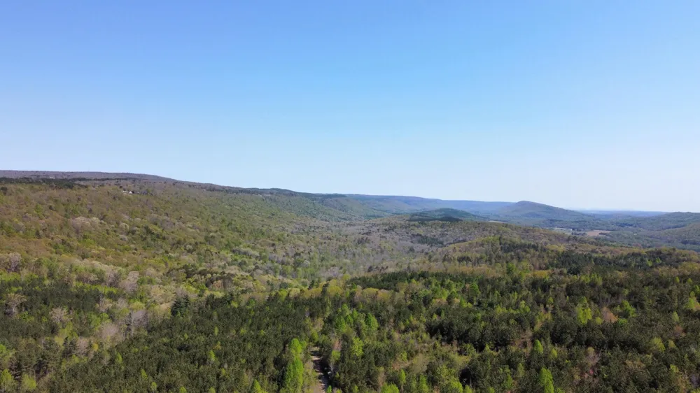 108 Leggett Road Sale Creek, TN 37373