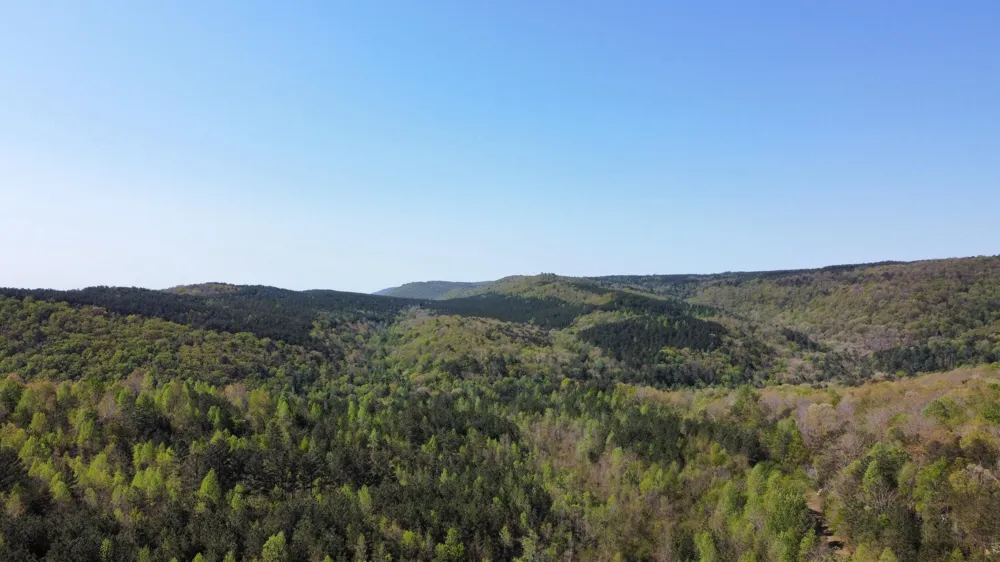 108 Leggett Road Sale Creek, TN 37373