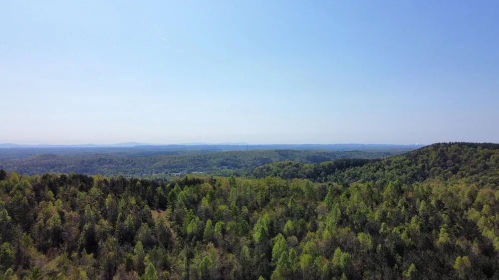 108 Leggett Road Sale Creek, TN 37373