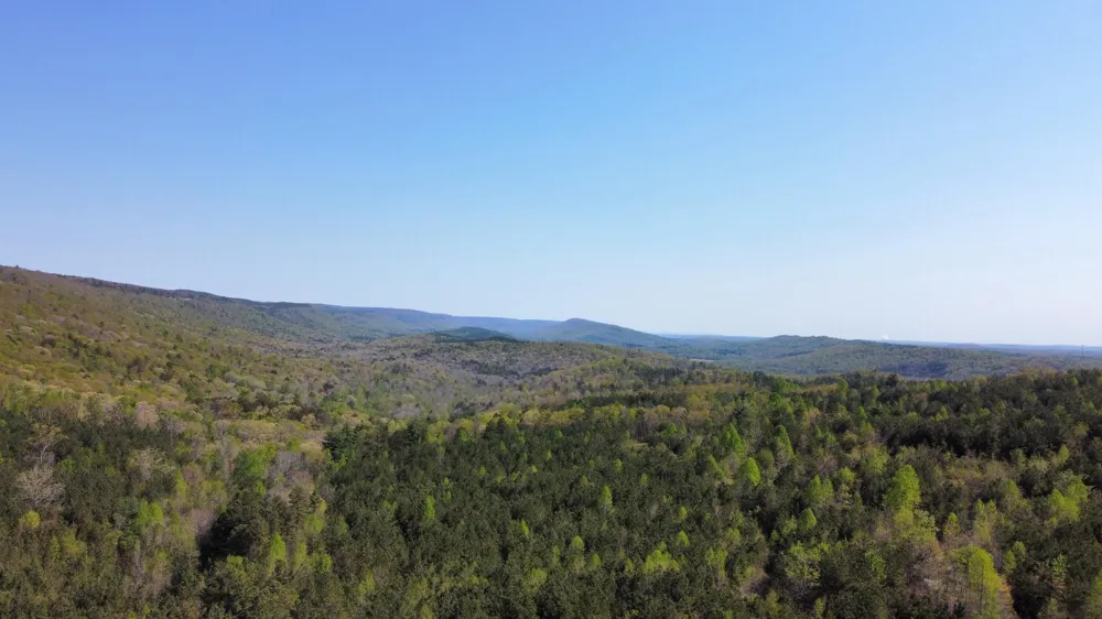 108 Leggett Road Sale Creek, TN 37373