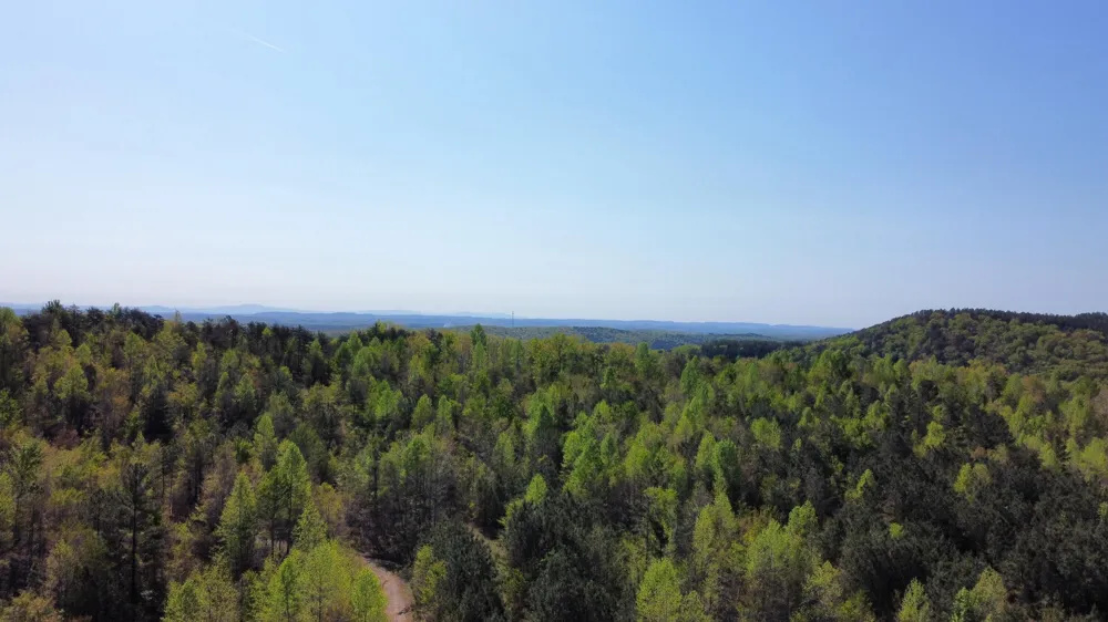 108 Leggett Road Sale Creek, TN 37373