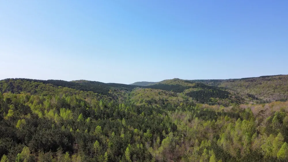 108 Leggett Road Sale Creek, TN 37373