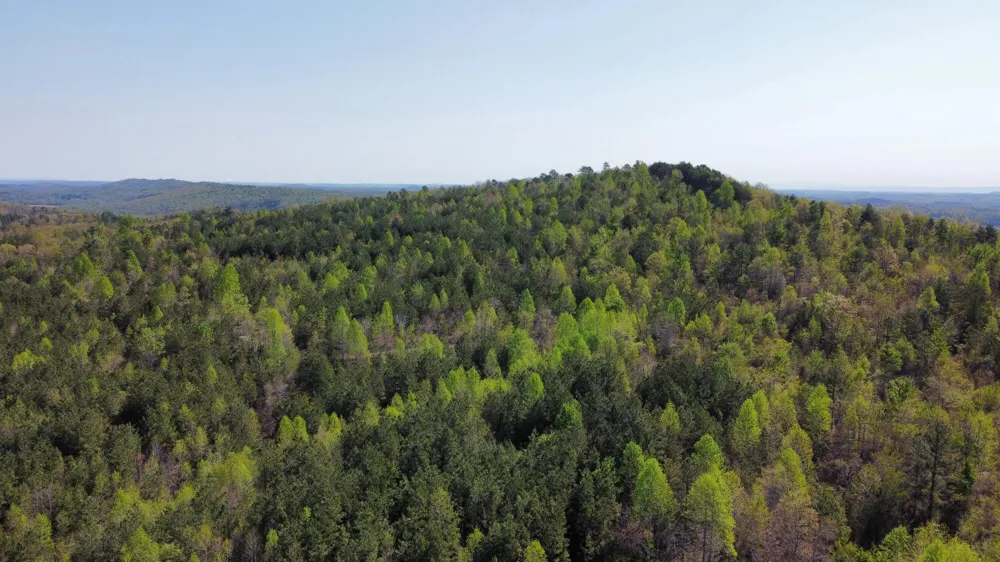 108 Leggett Road Sale Creek, TN 37373