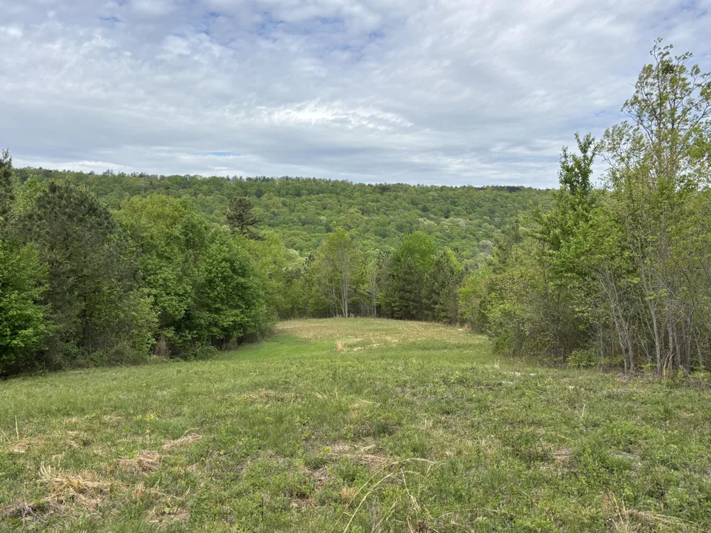 367 Leggett Road Sale Creek, TN 37373