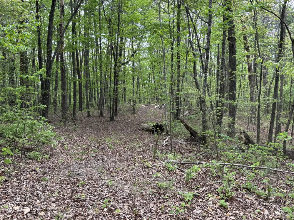 367 Leggett Road Sale Creek, TN 37373