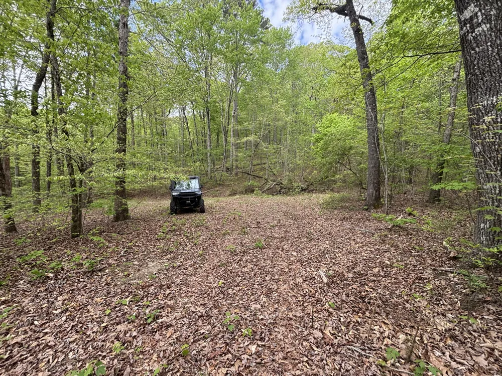 367 Leggett Road Sale Creek, TN 37373