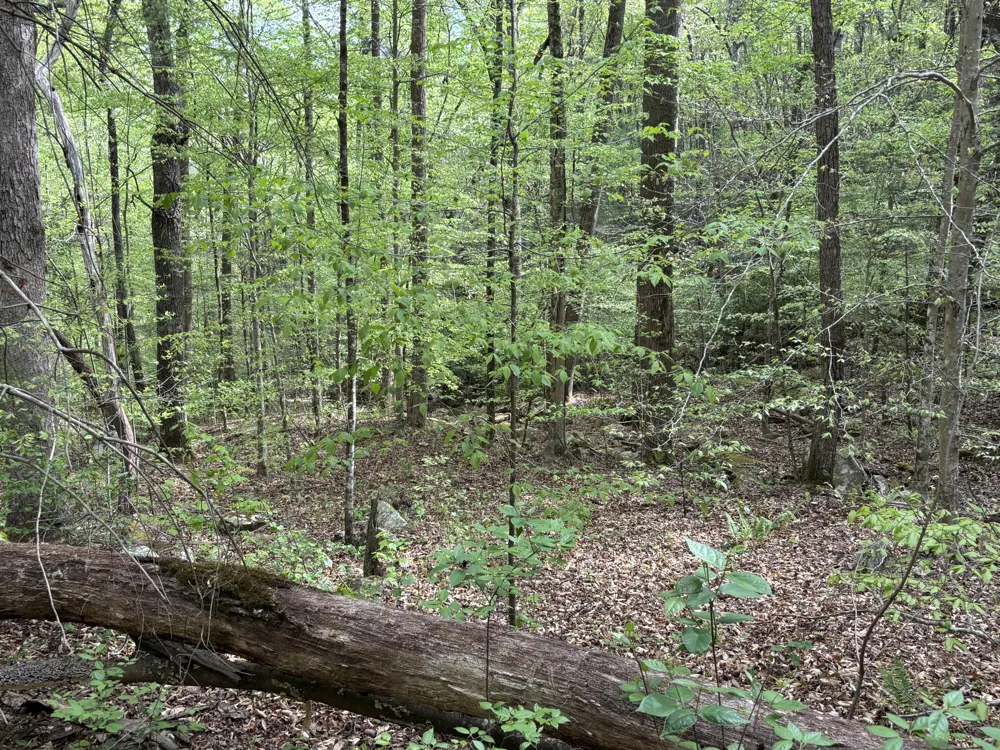 367 Leggett Road Sale Creek, TN 37373