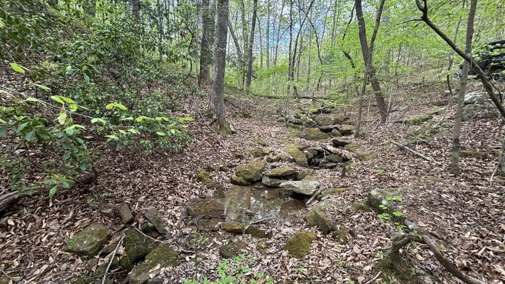 367 Leggett Road Sale Creek, TN 37373