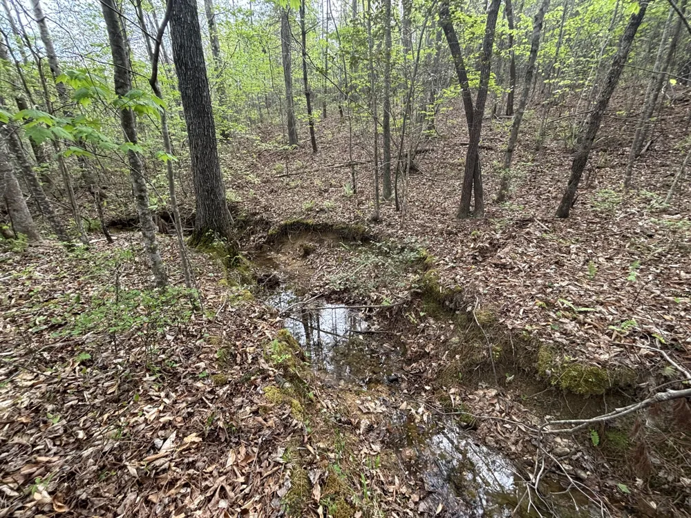 367 Leggett Road Sale Creek, TN 37373