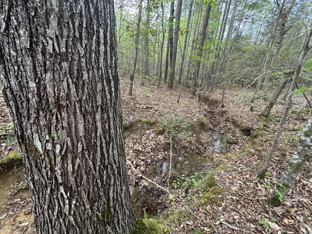 367 Leggett Road Sale Creek, TN 37373
