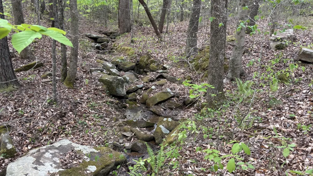 367 Leggett Road Sale Creek, TN 37373