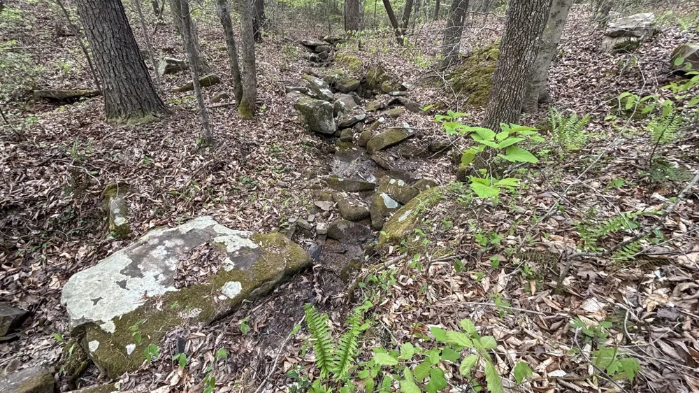 367 Leggett Road Sale Creek, TN 37373