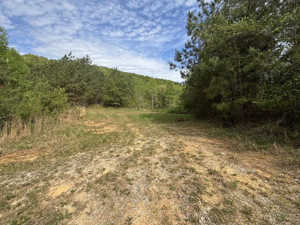 367 Leggett Road Sale Creek, TN 37373