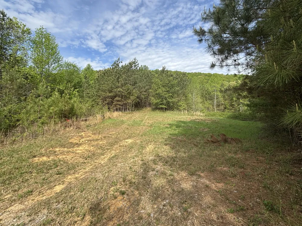 367 Leggett Road Sale Creek, TN 37373
