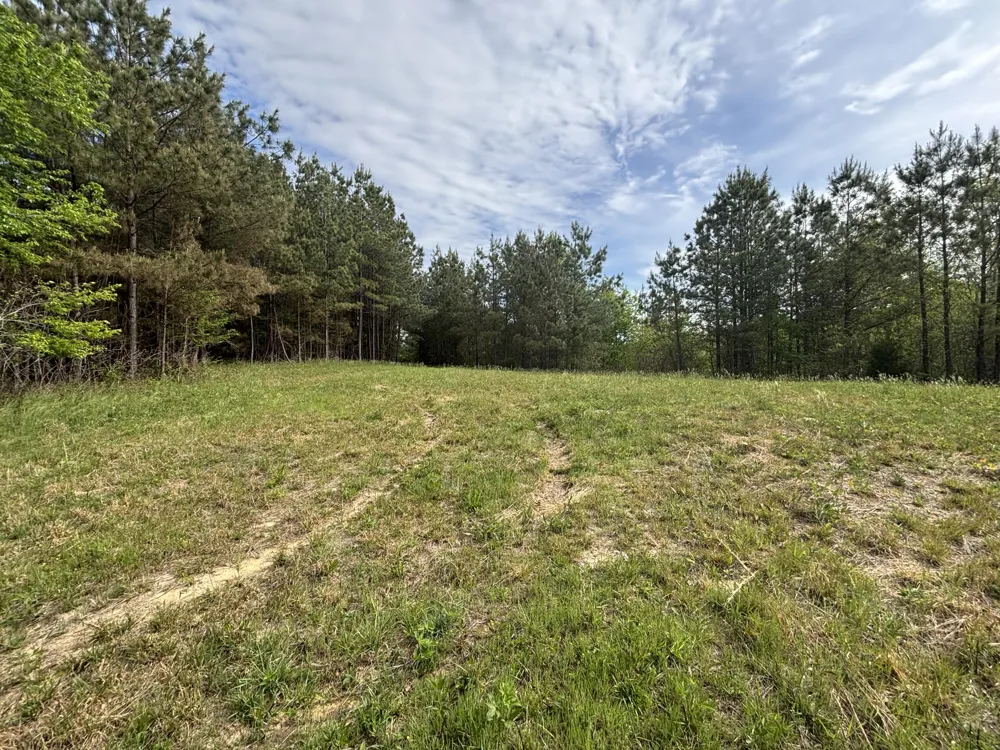 367 Leggett Road Sale Creek, TN 37373