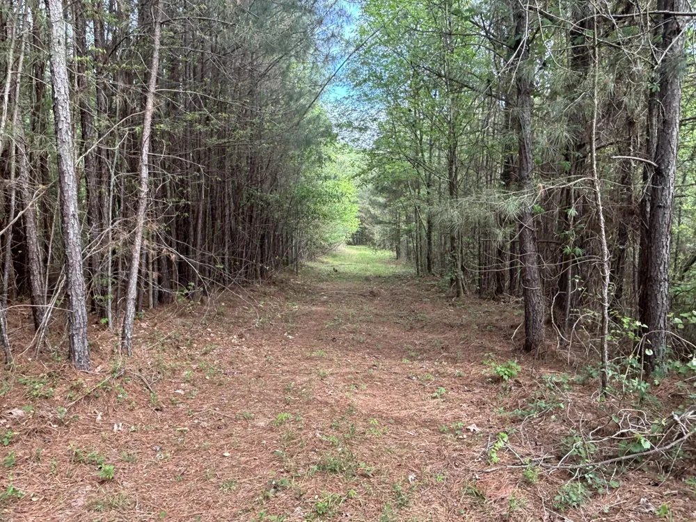 367 Leggett Road Sale Creek, TN 37373