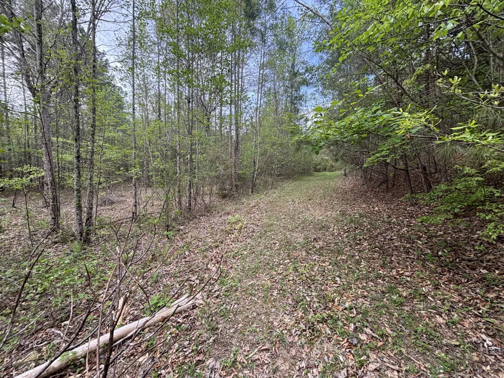 367 Leggett Road Sale Creek, TN 37373