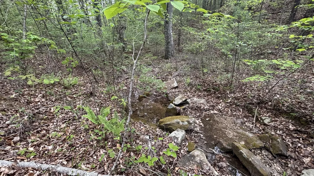 367 Leggett Road Sale Creek, TN 37373