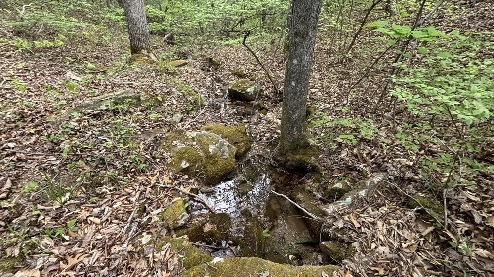 367 Leggett Road Sale Creek, TN 37373