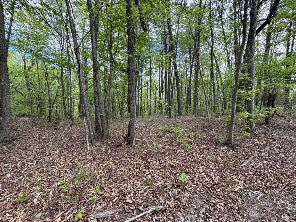 367 Leggett Road Sale Creek, TN 37373