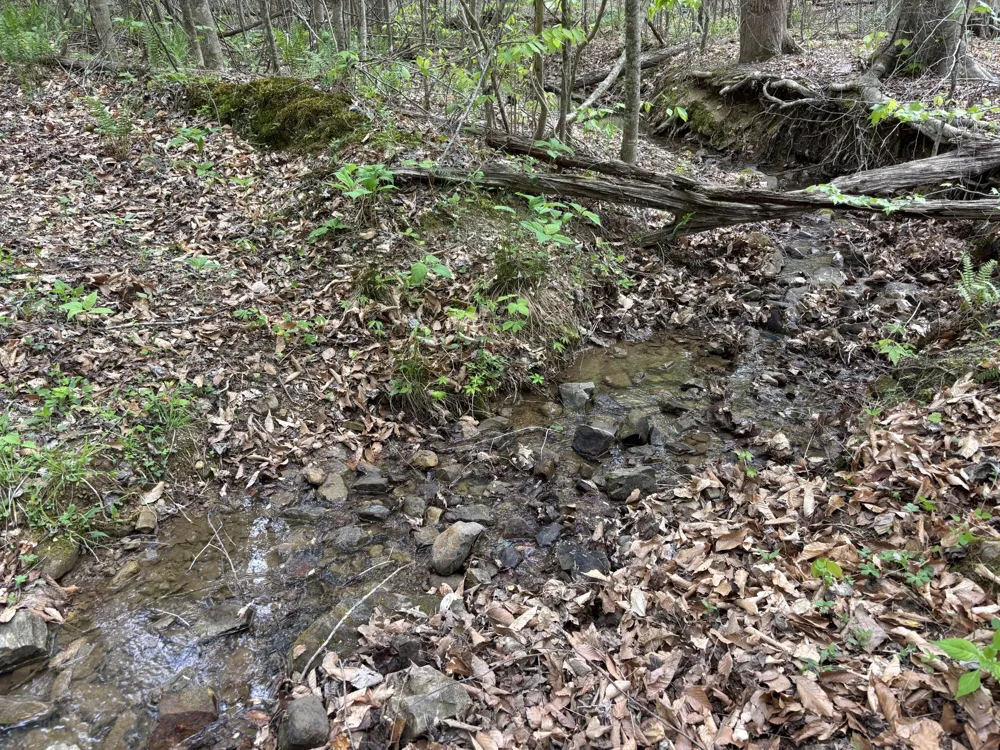367 Leggett Road Sale Creek, TN 37373