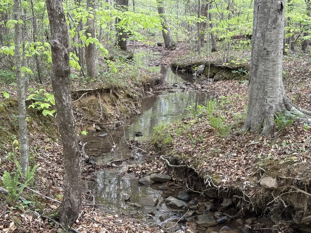 367 Leggett Road Sale Creek, TN 37373