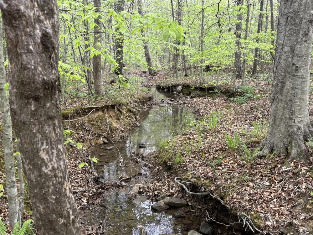 367 Leggett Road Sale Creek, TN 37373